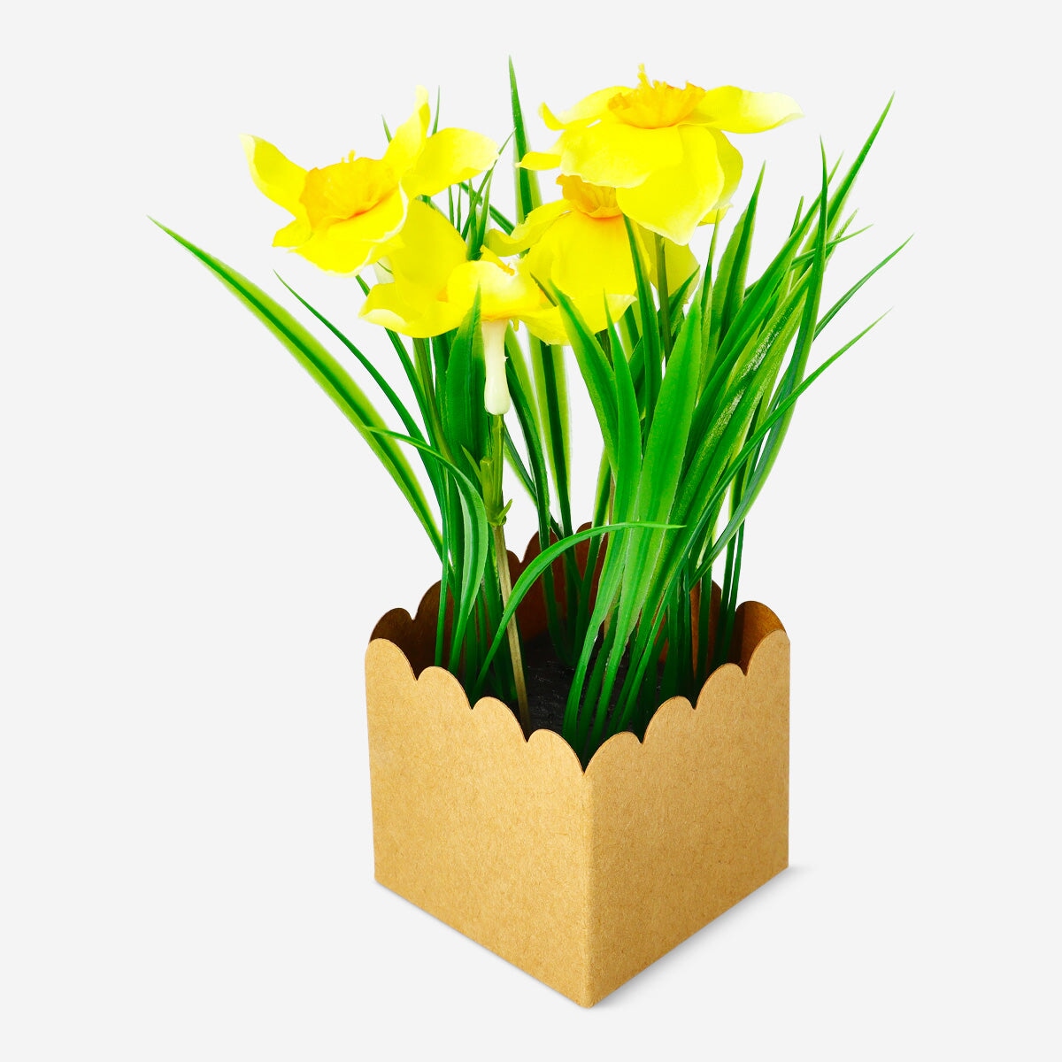 Dekorativ blomst