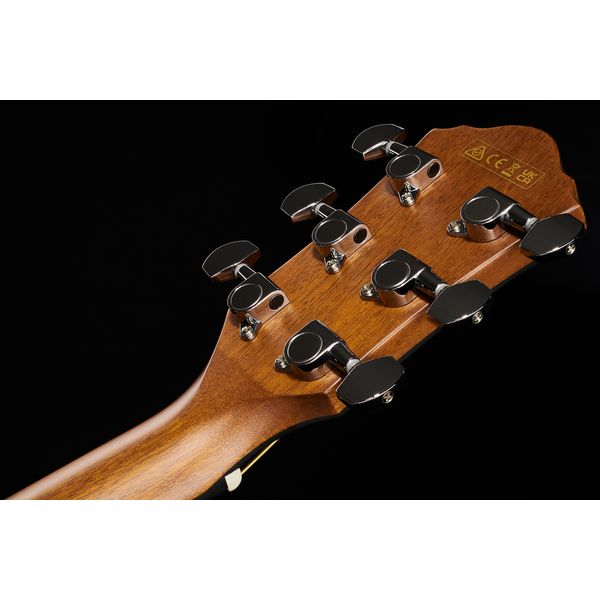 Ibanez AEWC11-DVS