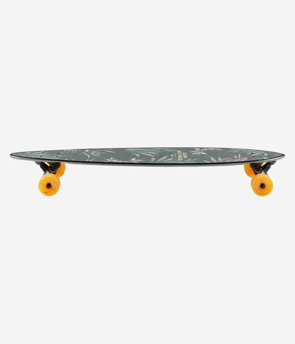 Globe Pintail 37