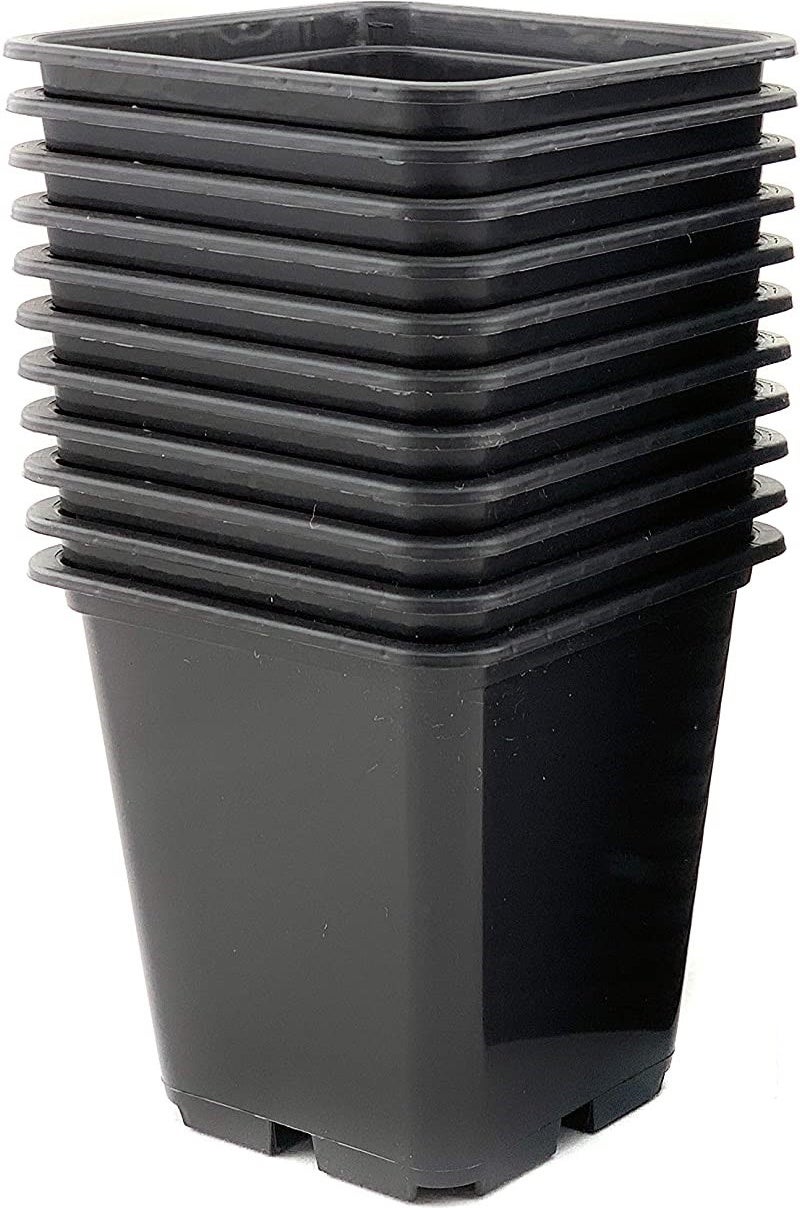 Intratuin kweekpot vierkant zwart 9 x 9 cm 9 stuks