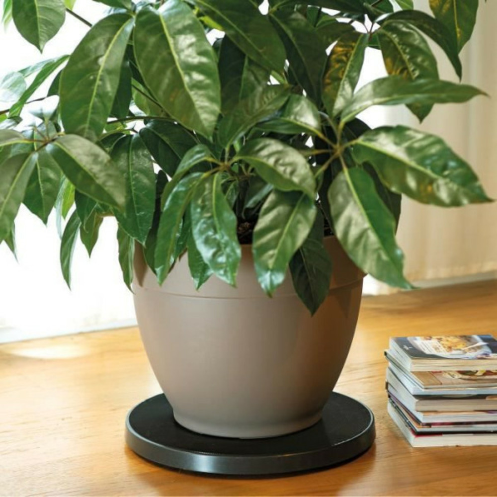 - roll pot r support a roulettes pour pot de fleurs - 39cm