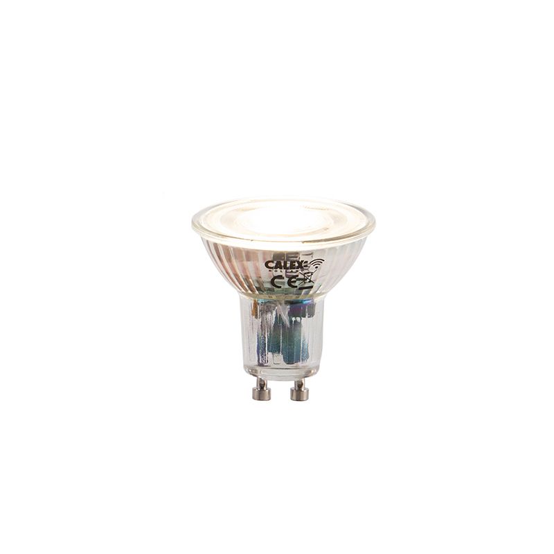 Smart buiten grondspot RVS incl. WiFi GU10 IP65 - Delux