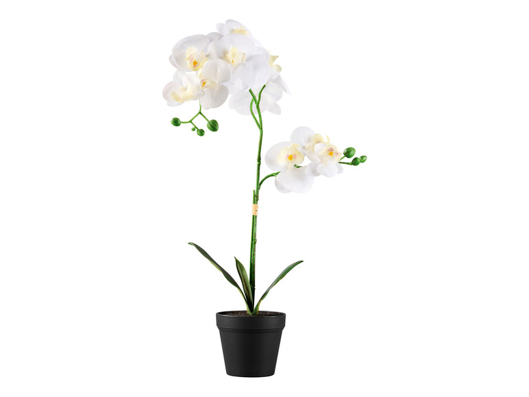 Kunstplant