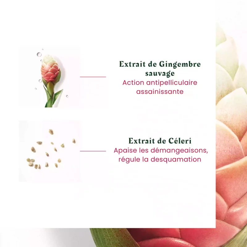 Néopur - Shampooing Antipelliculaire Pellicules grasses, cuir chevelu gras - 150ml