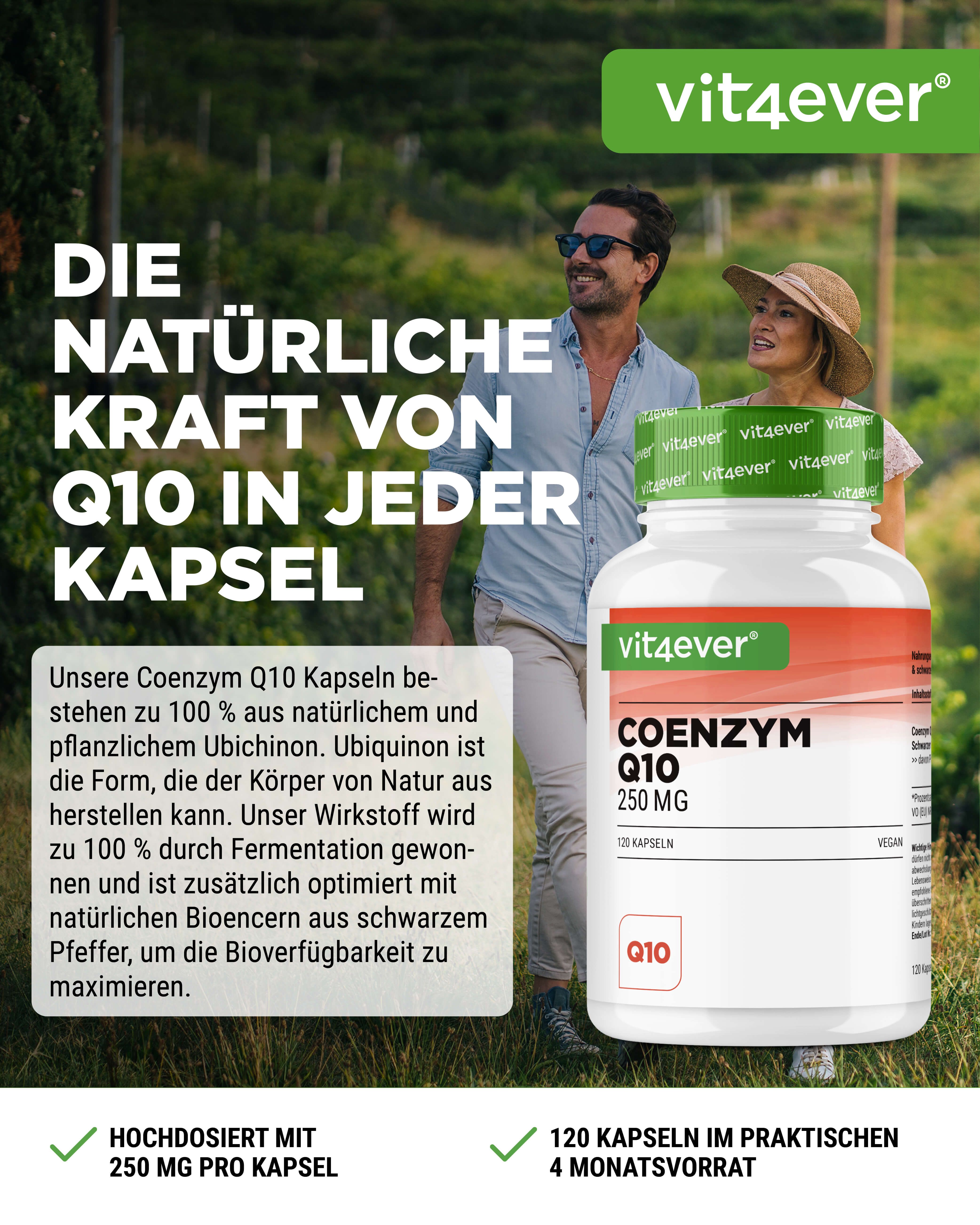 vit4ever Coenzym Q10