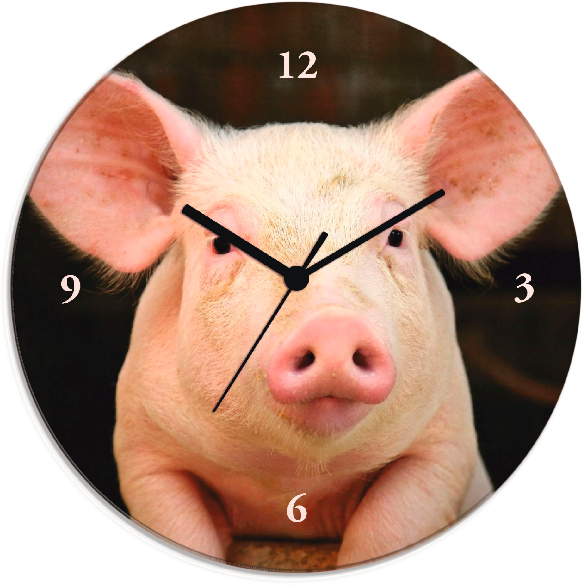 Artland Wanduhr »Vorwitziges Schwein« wahlweise mit  Quarz- oder Funkuhrwerk, lautlos ohne Tickgeräusche