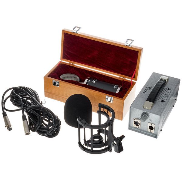 the t.bone Retro Tube II