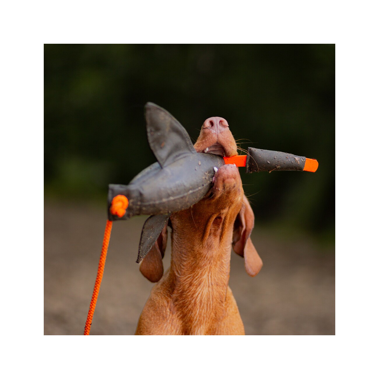 ROMNEYS Duck Dummy Entendummy Nylon 400g