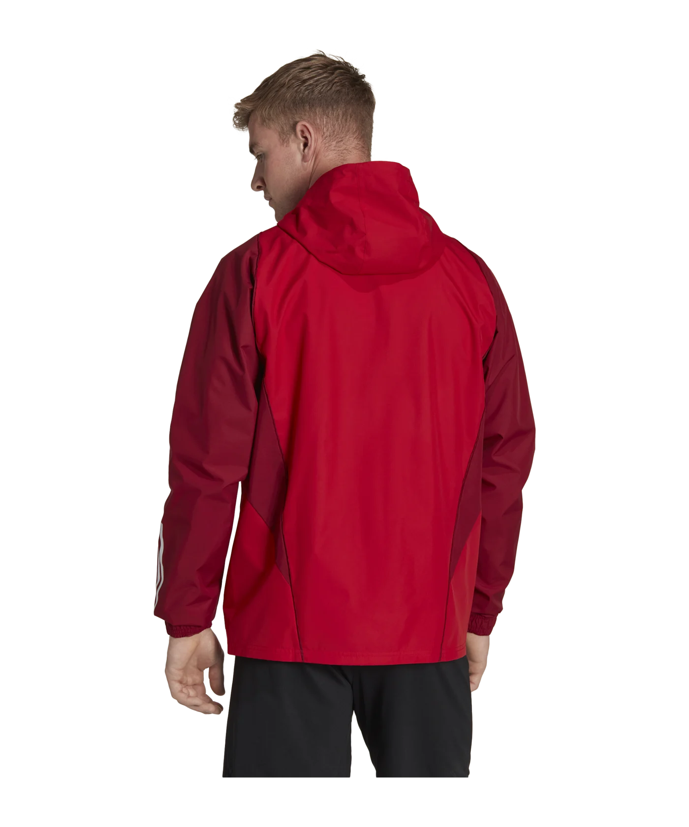adidas Tiro 23 Competition Allwetterjacke Rot