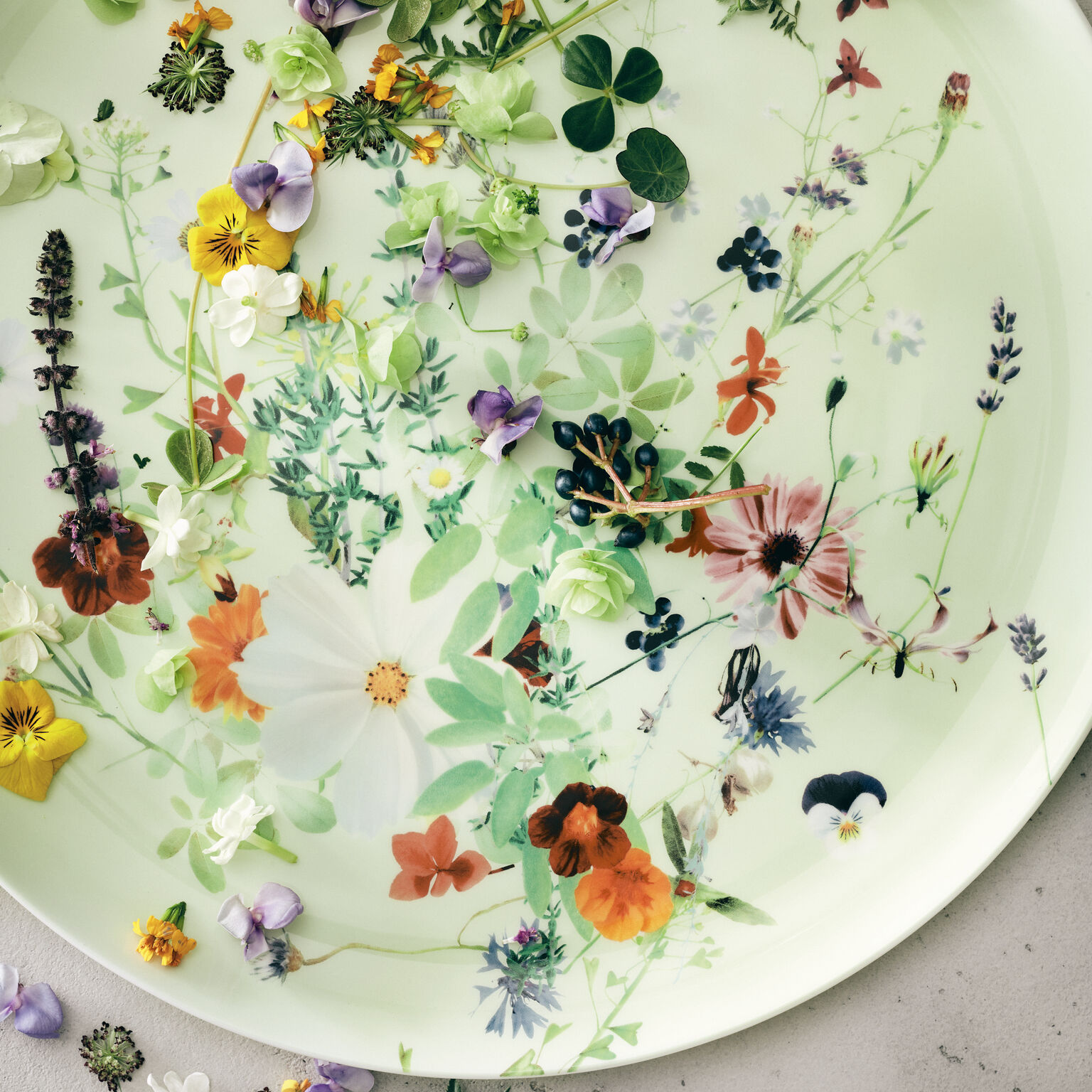 Brillance Bone China Grand Air Platzteller 32 cm