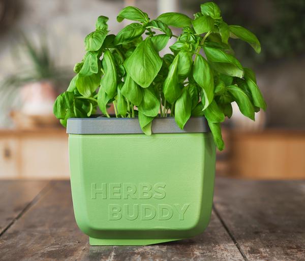 Gusta Garden Kräutertopf Herbs Buddy, ca.