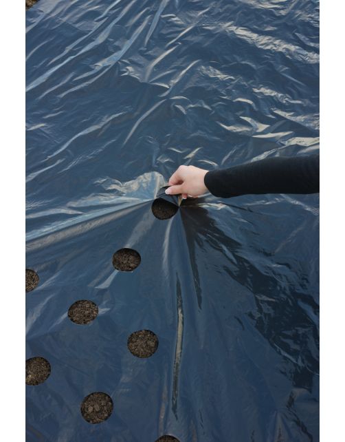 Nature Kweekfolie Universeel - Groeifolie Gronddoek - 0.95x5 m Zwart Anti-Uv
