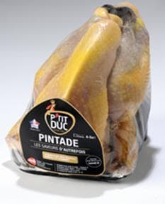 P'tit Duc Französisches Perlhuhn