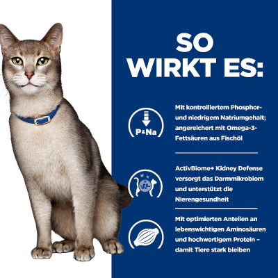 Hill's VET Katze Prescription Diet k/d Renal Health Rind 12x85g