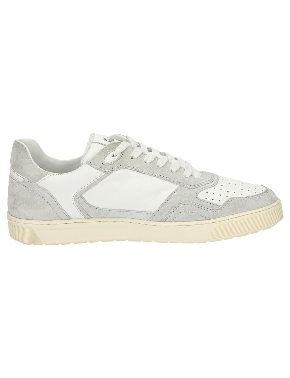 Sneaker Tedroso-704