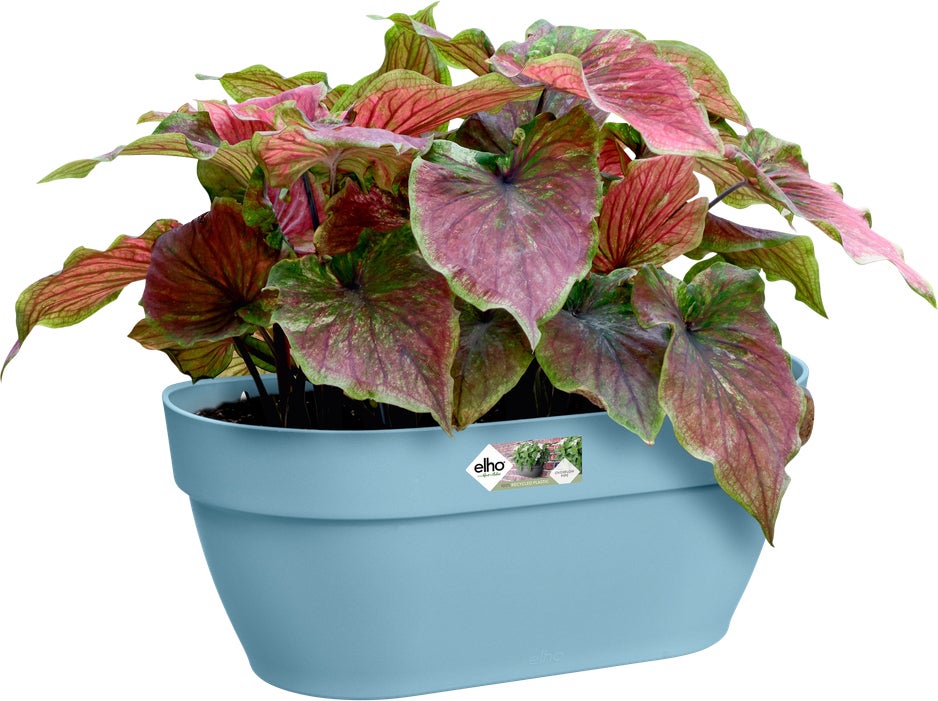 Elho muur plantenbak Vibia Campana blauw 35 x 16,2 x 14,8 cm