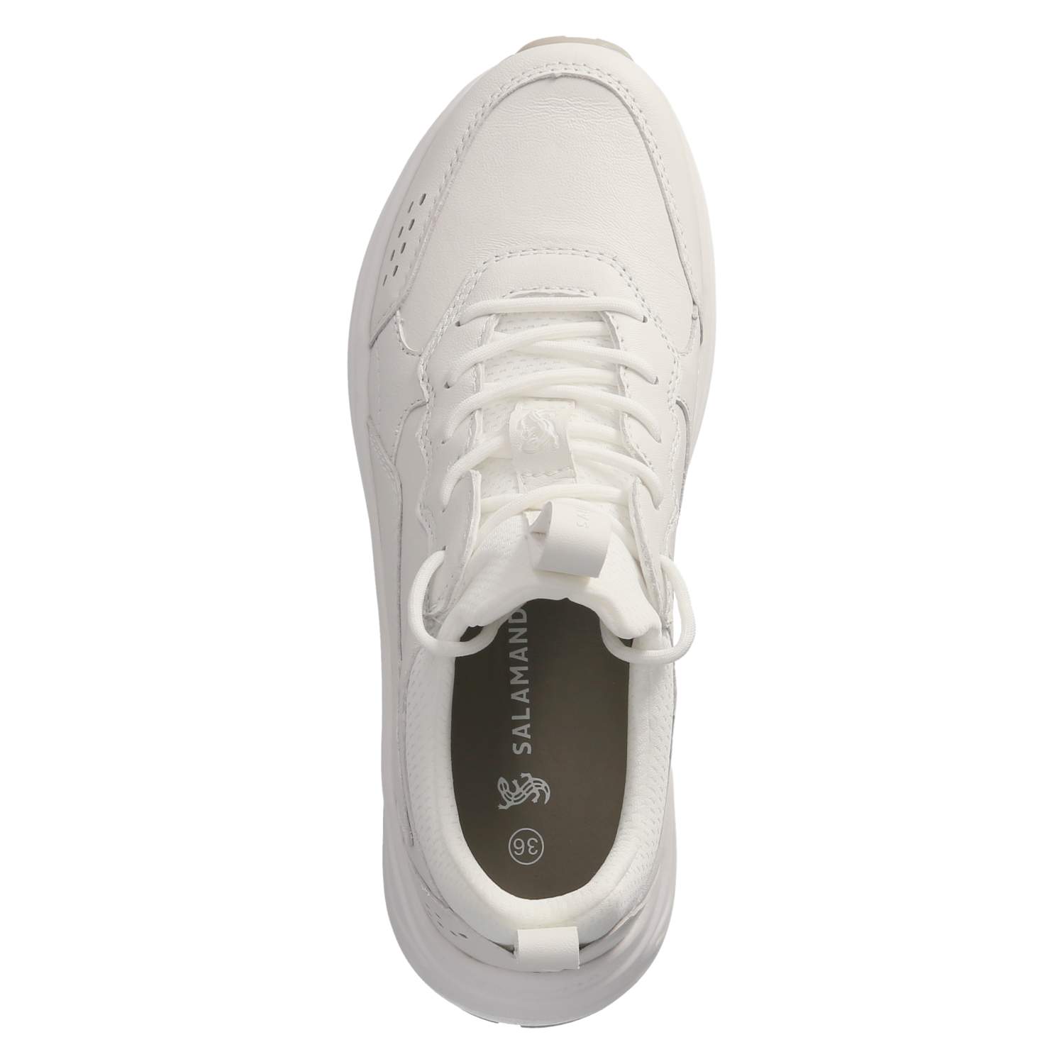 Salamander Low Sneaker - white / white