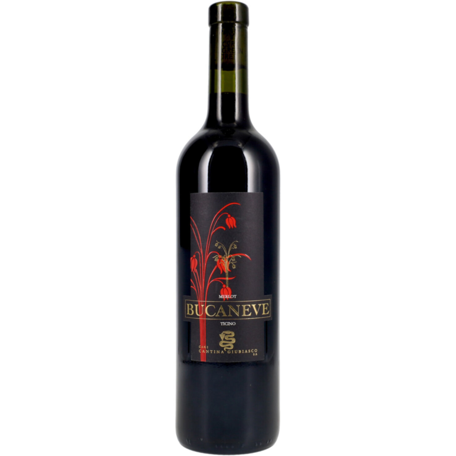 Ticino DOC Merlot Bucaneve -75cl