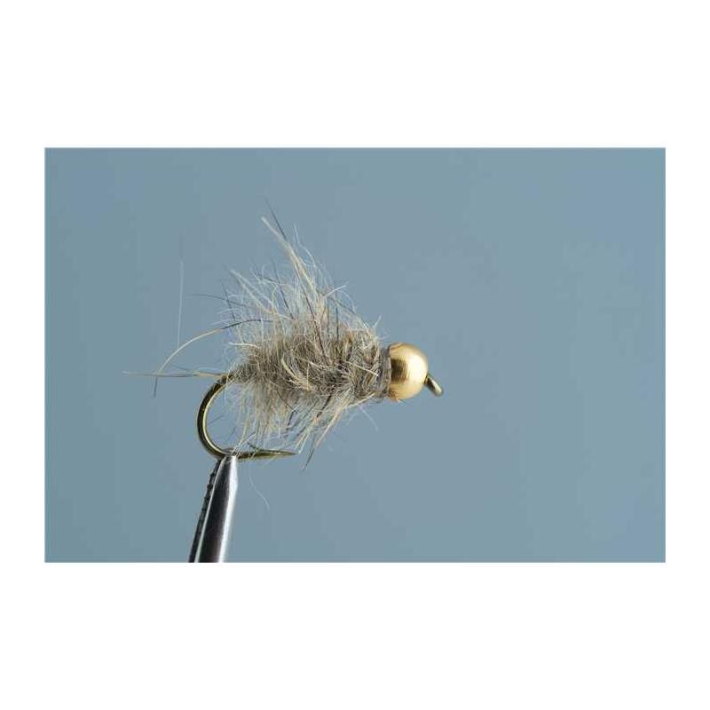 Mouche Tof Nymphe Oreille De Lievre Casquée