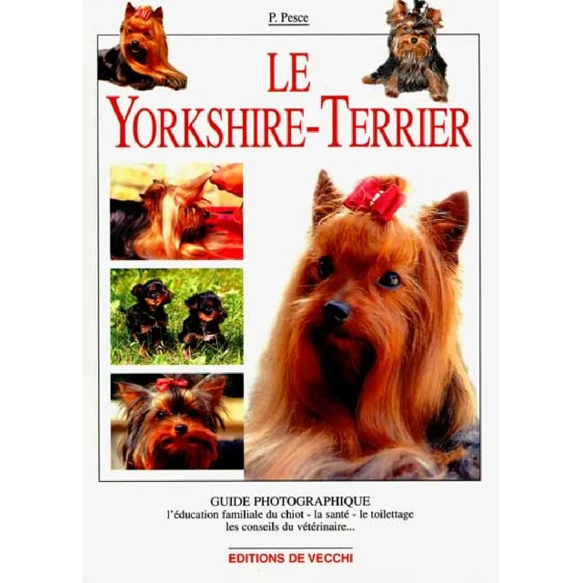 Le yorkshire-terrier · Occasion