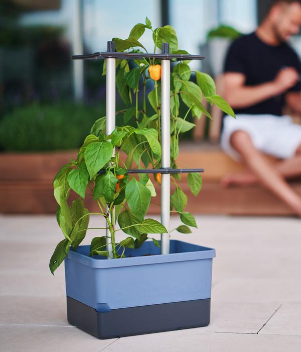 Gusta Garden Chili-Pflanztopf Charly Chili,