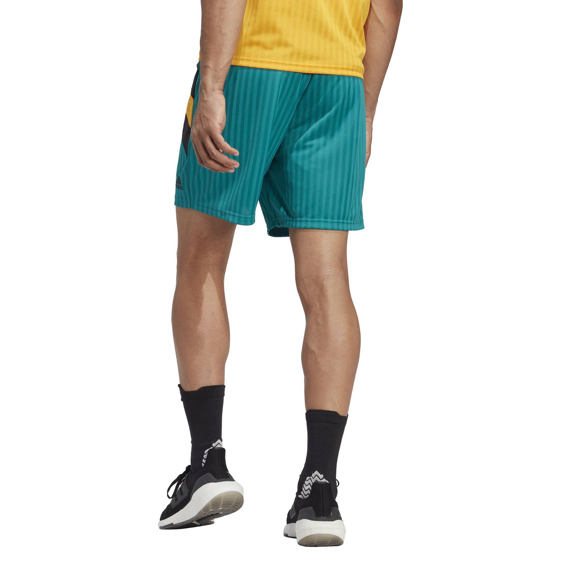 adidas Performance| Herren Fußballshorts FC BAYERN ICON