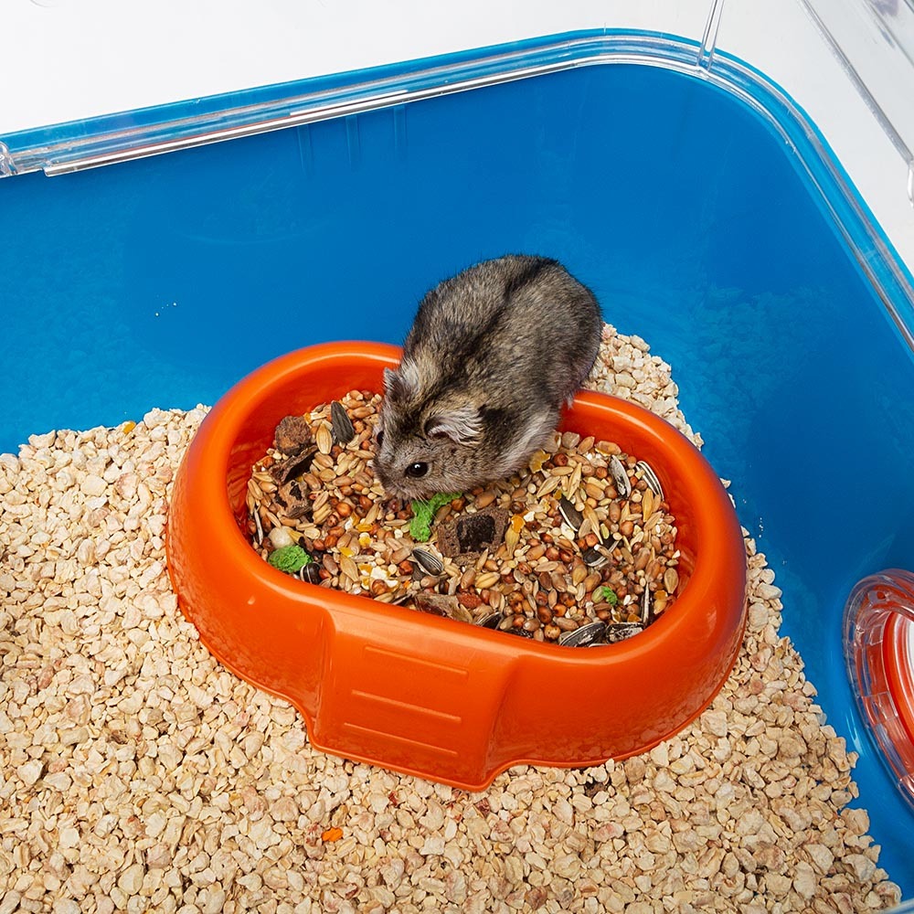 Ferplast cage pour hamsters combi 2, habitat pour petits rongeurs, plastique robuste, toit avec grille qui s'ouvre, tunnel et