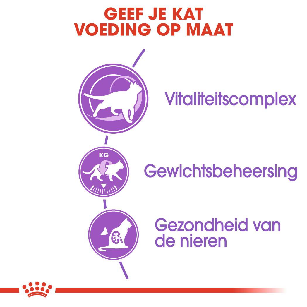 Royal Canin Sterilised  7 Regular - Kattenvoer - 10 Kilogram - Gevogelte