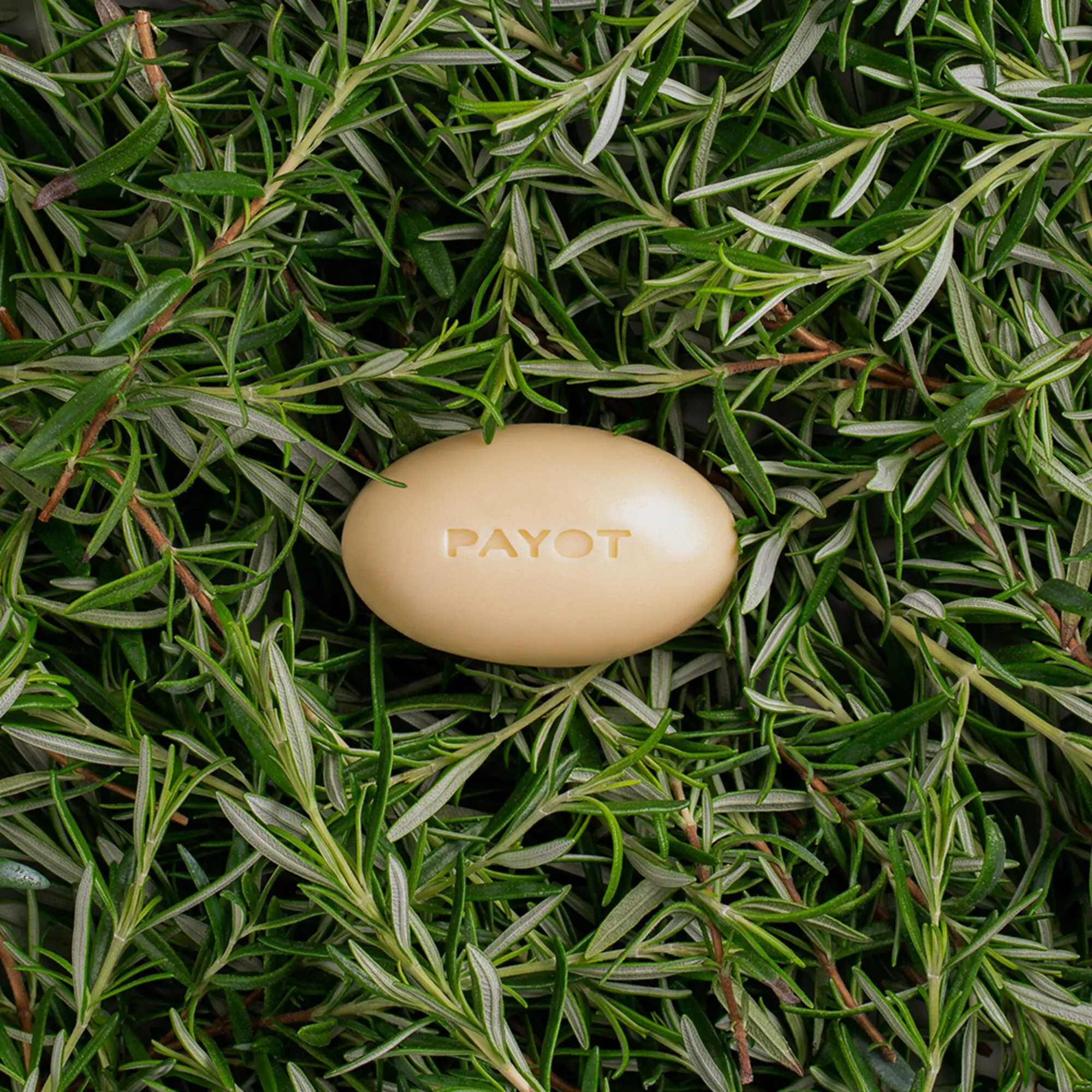 Payot - Barre de massage nourrissante visage et corpsHuile essentielle de romarin- carousel Herbier