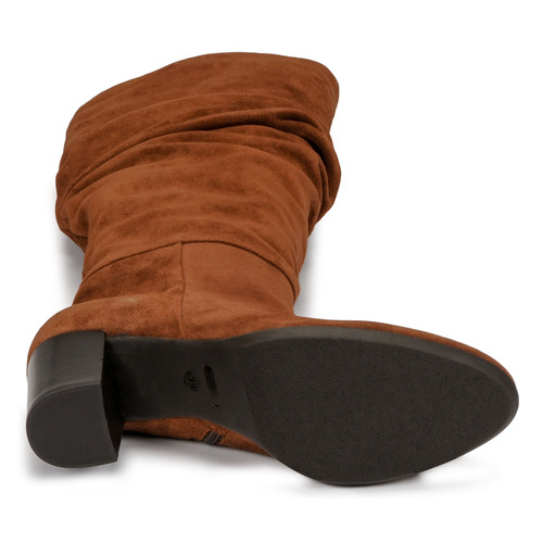 Fericelli - NEIGNET - Camel