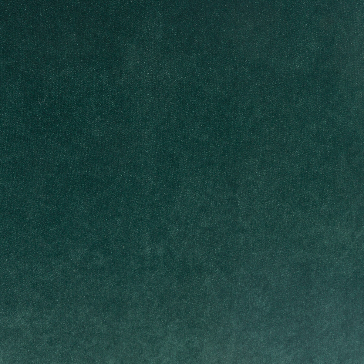AM.PM<br>Poltrona Fluweel, Spogano