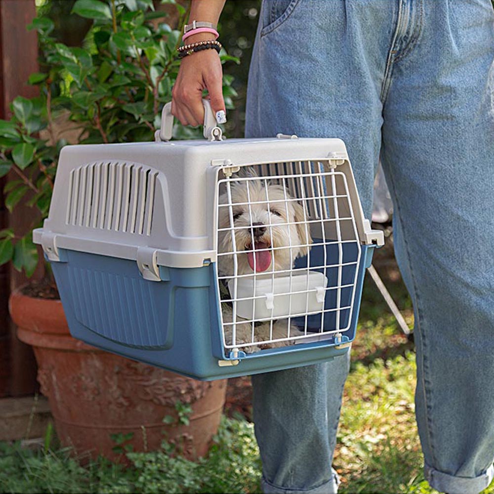 Ferplast caisse de transport chat, cage de transport pour chiens petits et chats jusqu'à 5 kg, toit ouvrable, avec coussin et