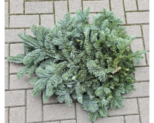 Dennengroen, edelspar, snijgroen, handgebonden bos ca. 2,5 kg