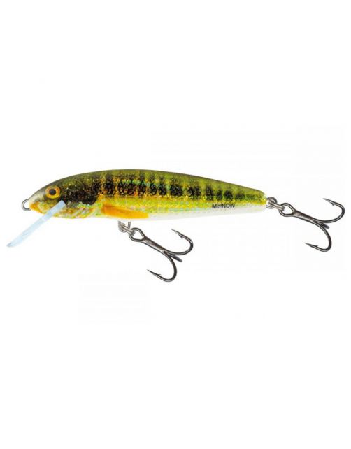 Salmo Minnow Snk 5cm Holo Real Minnow - Plug -