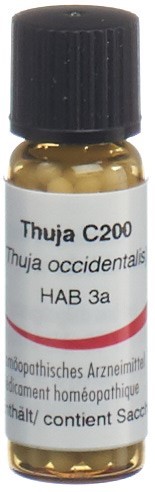 Omida Thuja Glob 200 C 2 g