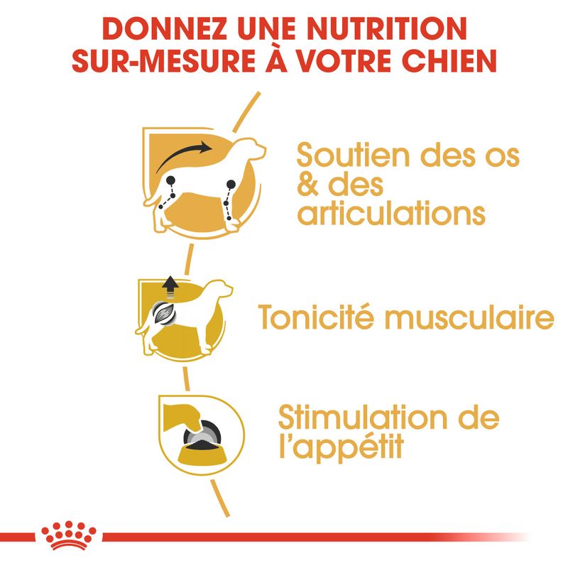Royal Canin Teckel en mousse