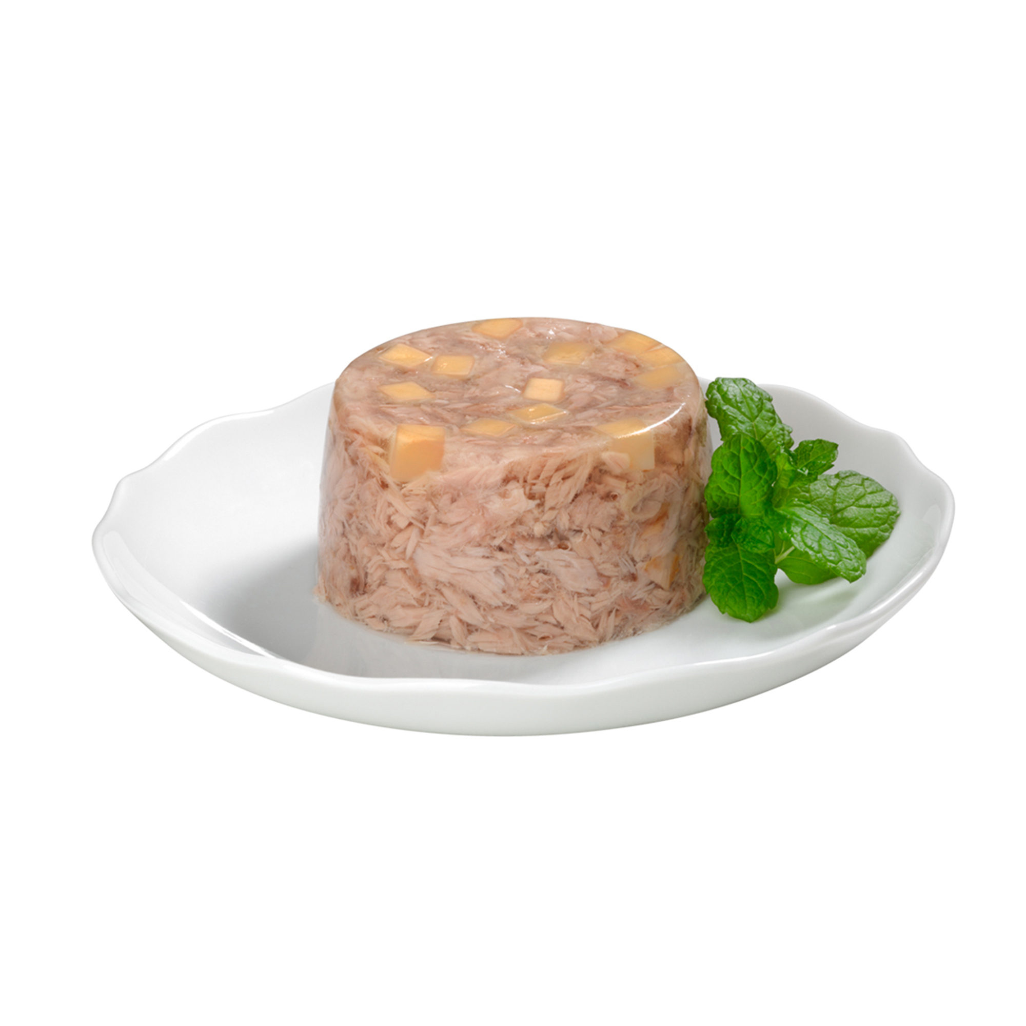 GimCat ShinyCat in Jelly