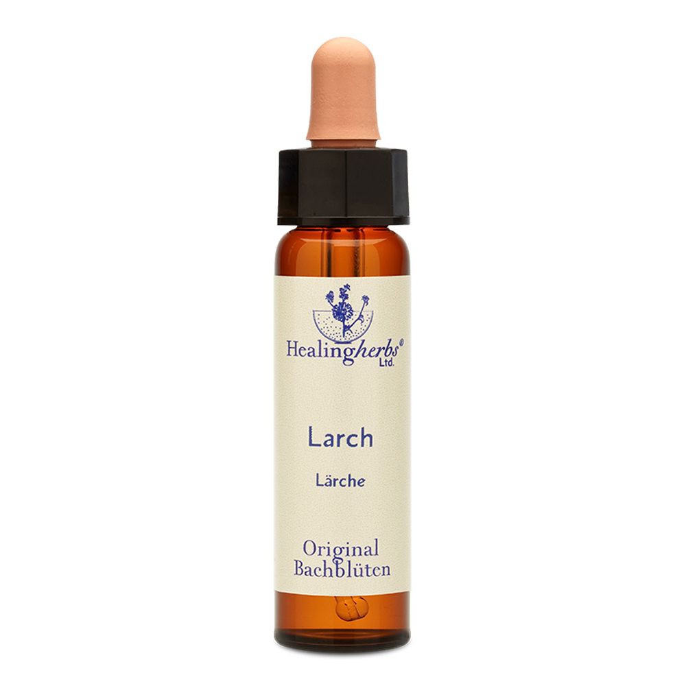 Healing Herbs Larch Original Bachblüten Tropfen
