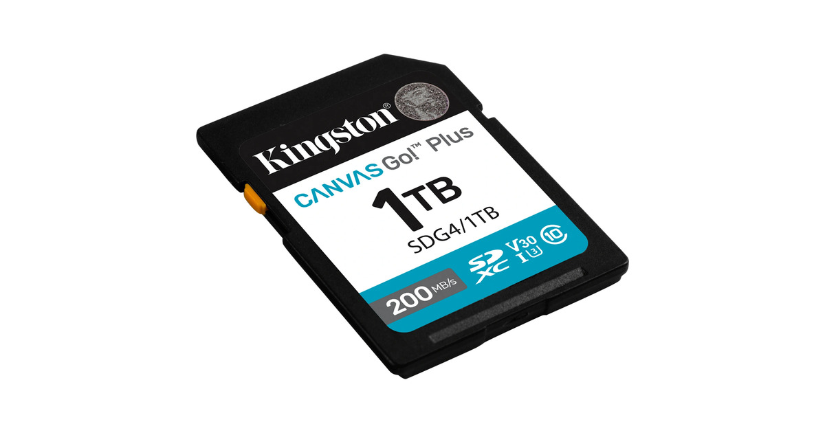 KingstonCanvas Go! Plus SDXC 1 TB geheugenkaart  (Zwart, Class 10, UHS-I U3, V30)