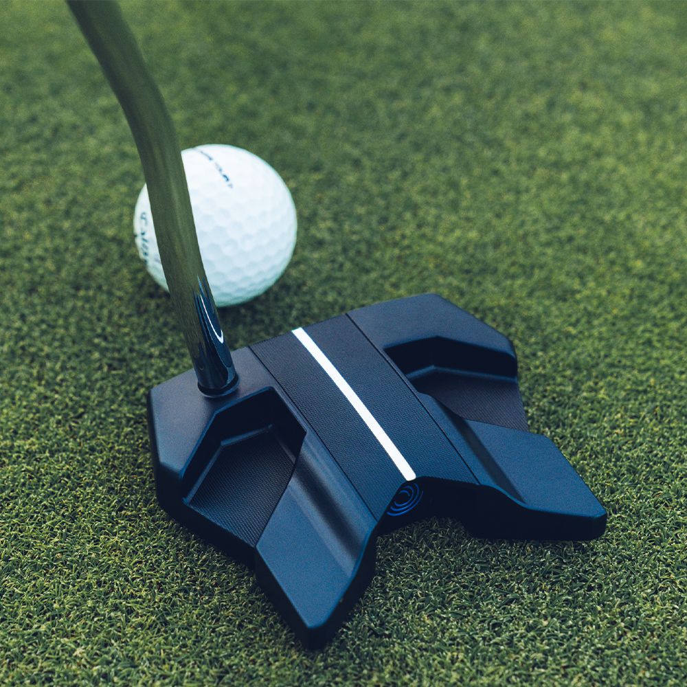 Ai-ONE Wing Back DB Putter