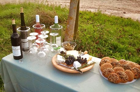 Ein Tag auf dem Weingut mit Übernachtung in der Pfalz für 2