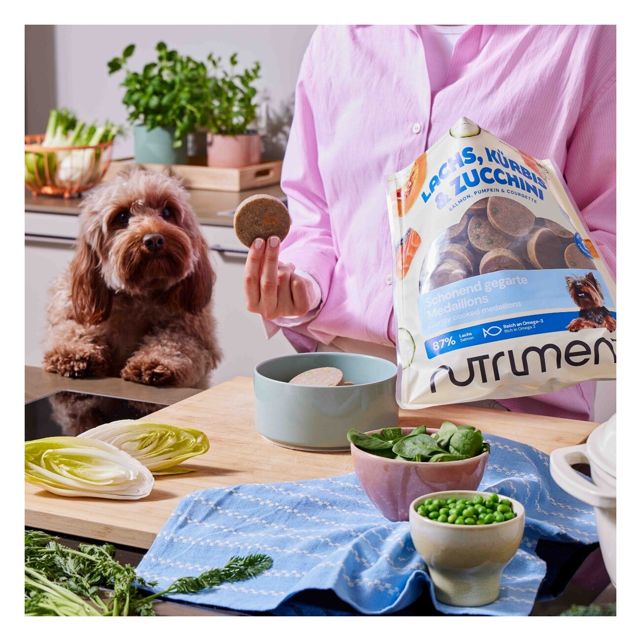 Nutriment Medaillons Lachs, Kürbis & Zucchini 8x800 g