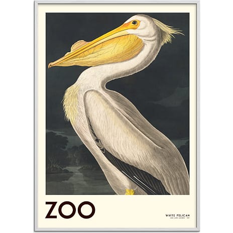 The Zoo Collection Pelican - 50x70 cm