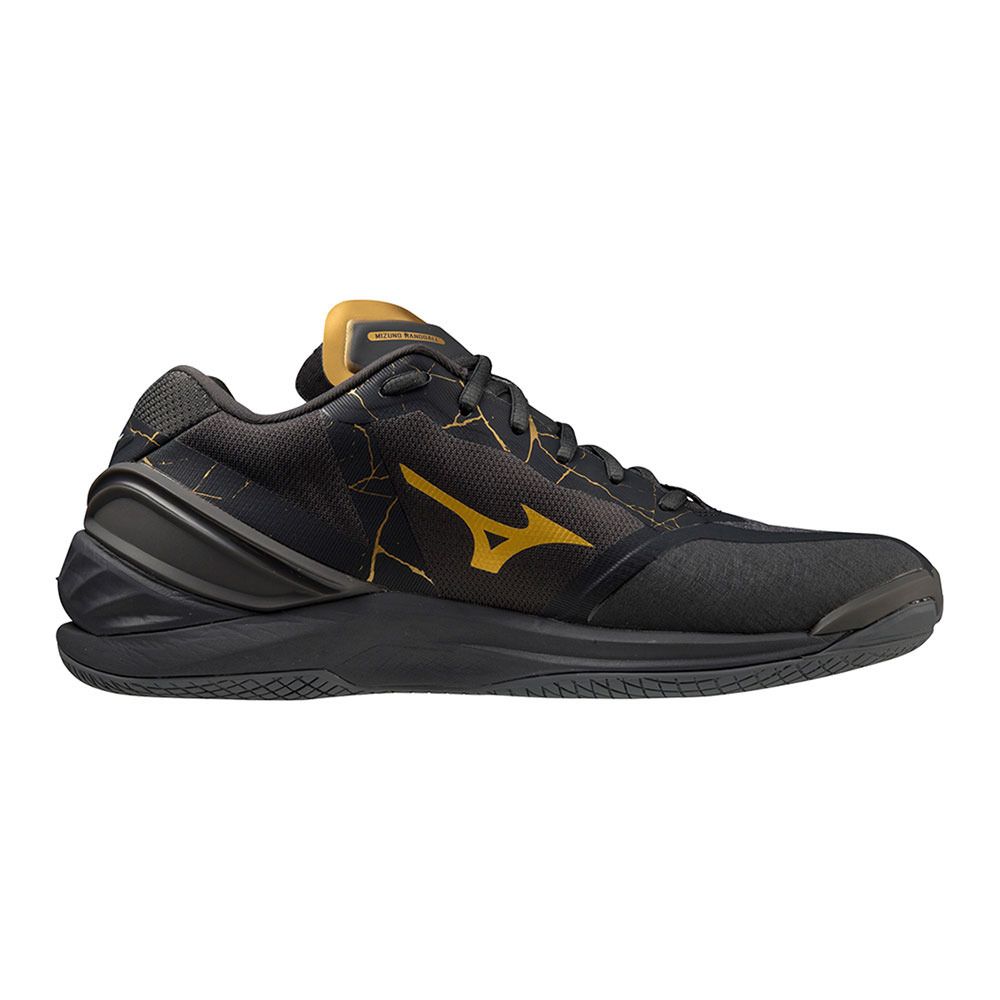 Mizuno WAVE STEALTH NEO - Chaussures handball Homme black oyster/mp gold/iron gate