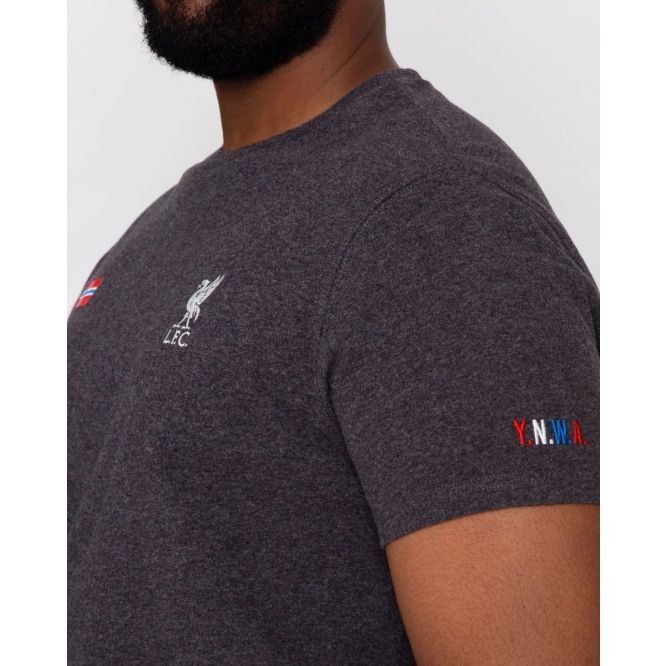 Liverpool T-Shirt Norvège Drapeau - Gris