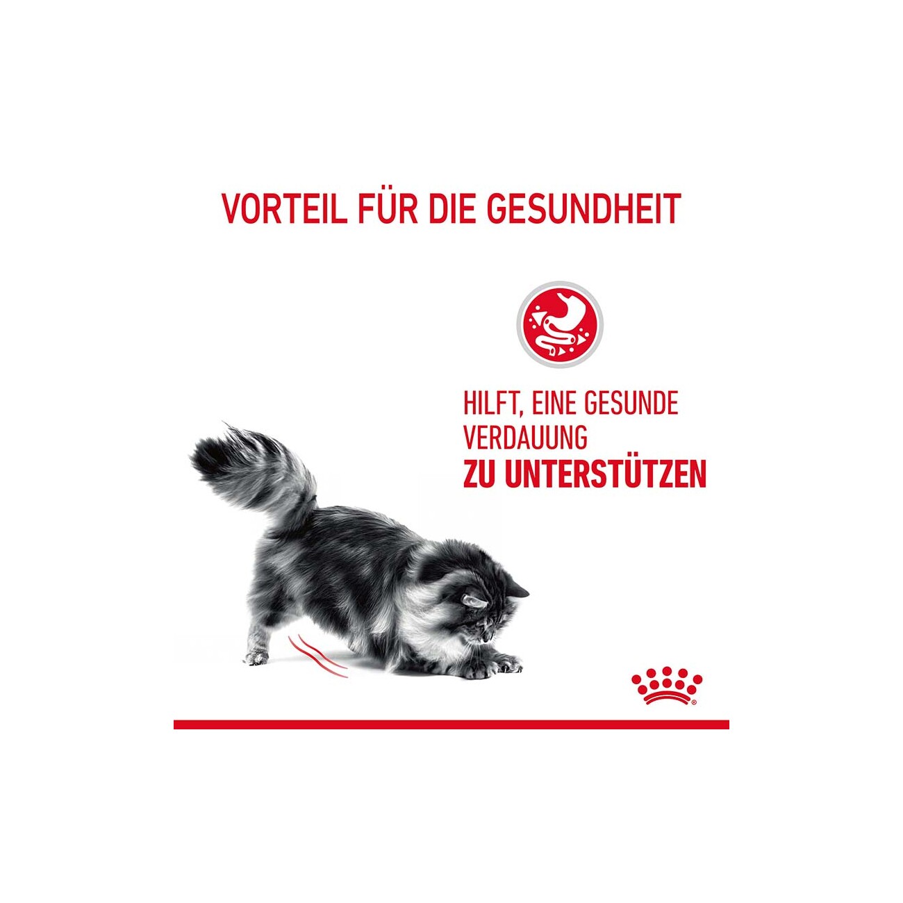 ROYAL CANIN Digestive Care 400 g