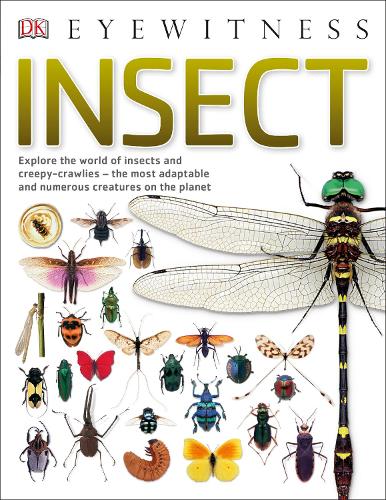 Insect: Explore the world of insects and creepy-crawlies - the most adaptable and numerous creatures on the planet - DK Eyewitness (Paperback)