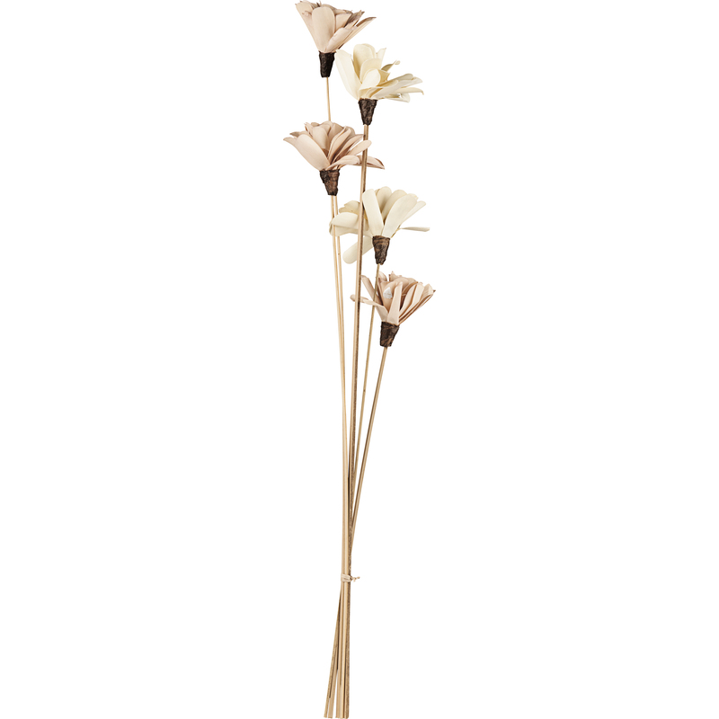 EGLO Trockenblume Senneterre, 60 cm, beige