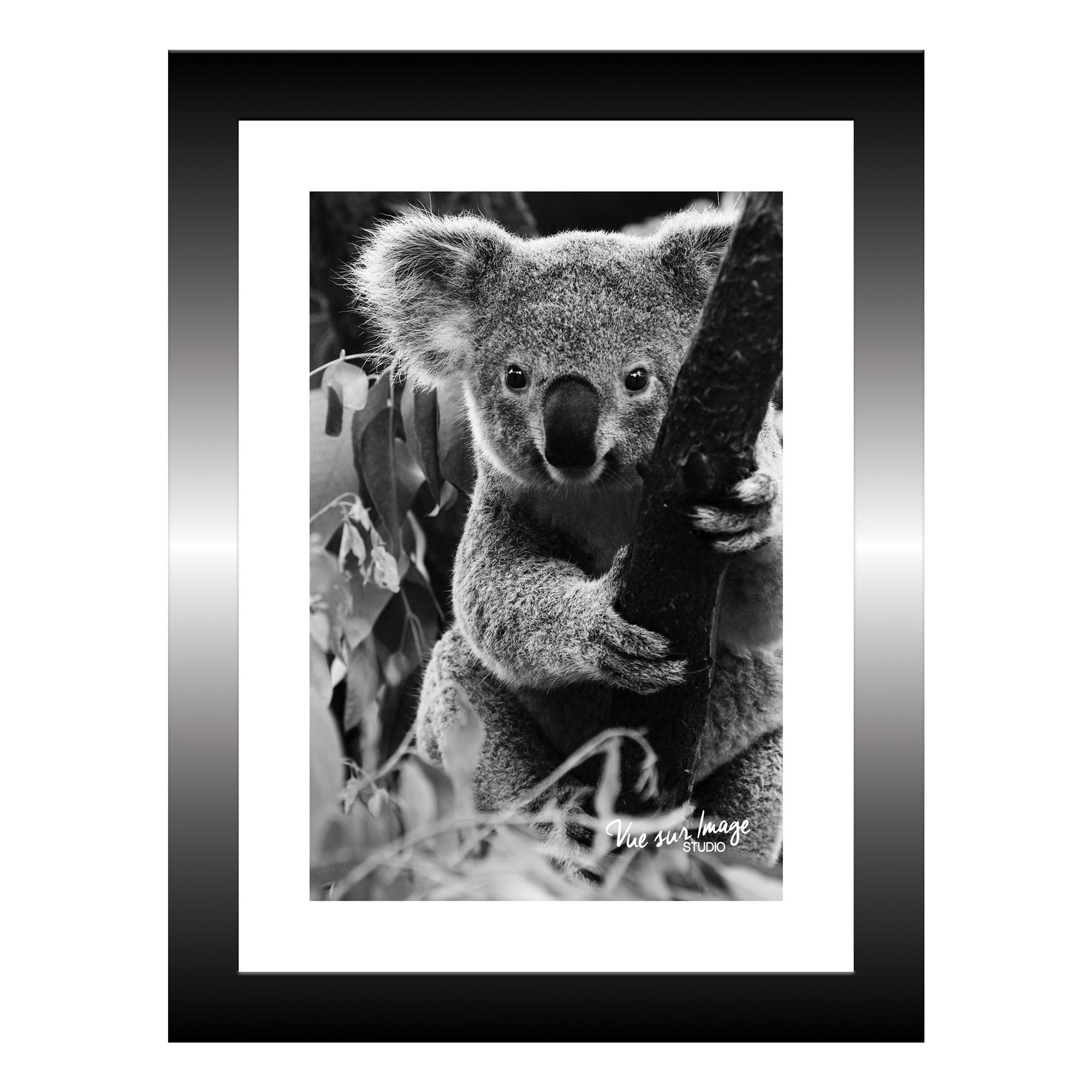TABLEAU 15X20CM BAGUETTE NOIRE KOALA