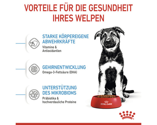 ROYAL CANIN Maxi Puppy droogvoer voor puppy's van grote rassen, 15 kg